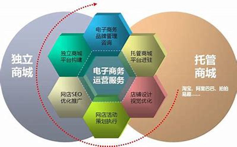 电商代运营：助力企业打造数字营销新高地